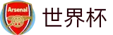 2026FIFA世界杯（中国）官网_热门本土赛事聚合